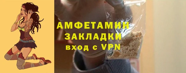 твердый Няндома