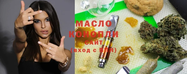 мдпв Новозыбков