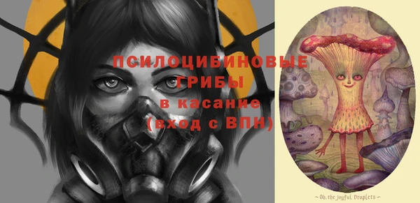 мдпв Новозыбков