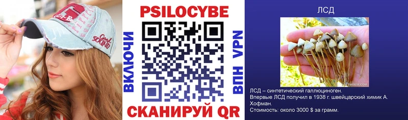 гидра ONION  Пойковский  Псилоцибиновые грибы мицелий 